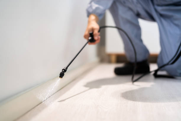 Licensed Cockroach Control service in Bryan County County, OK - Nex Pest Control